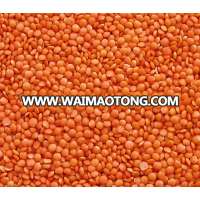 High Quality Lentils/Red Lentils/Green Lentils