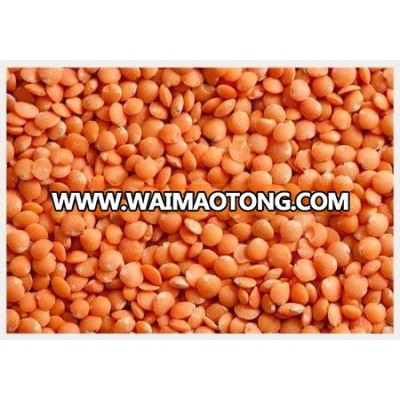 Premium Quality Split Red Lentils For Export!