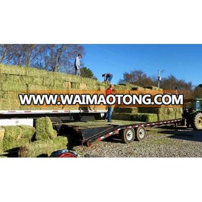 Alfalfa Hay, Timothy Hay, Animal feed / pelleted anima feed lucerne hay