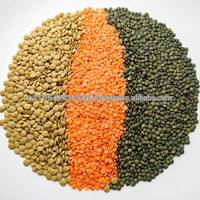 High Quality Lentils/Red Lentils/Green Lentils For Sale